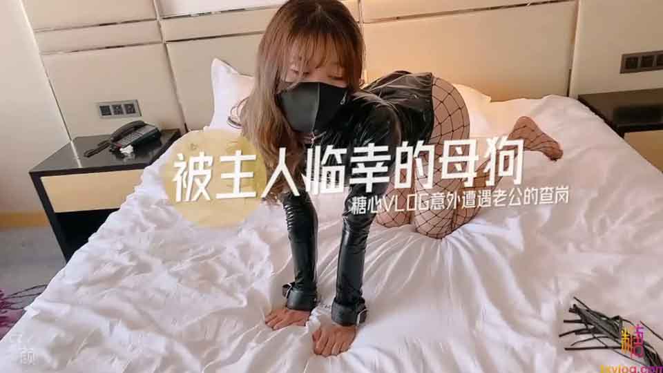 超人气美少女「糖心Up」意外遭老公的查岗被主人幸临调教的小母狗，皮衣网袜捆绑极具诱惑